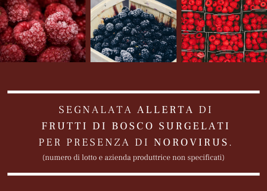allerta frutti di bosco.png